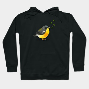 Tropical Parula Bird Hoodie